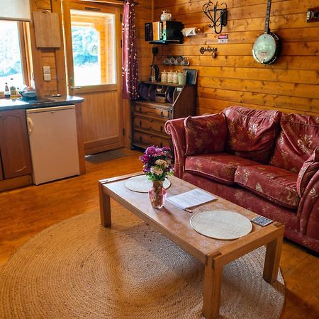Blossom Cabin - Little Log Cabin In Wales Newtown  Kültér fotó