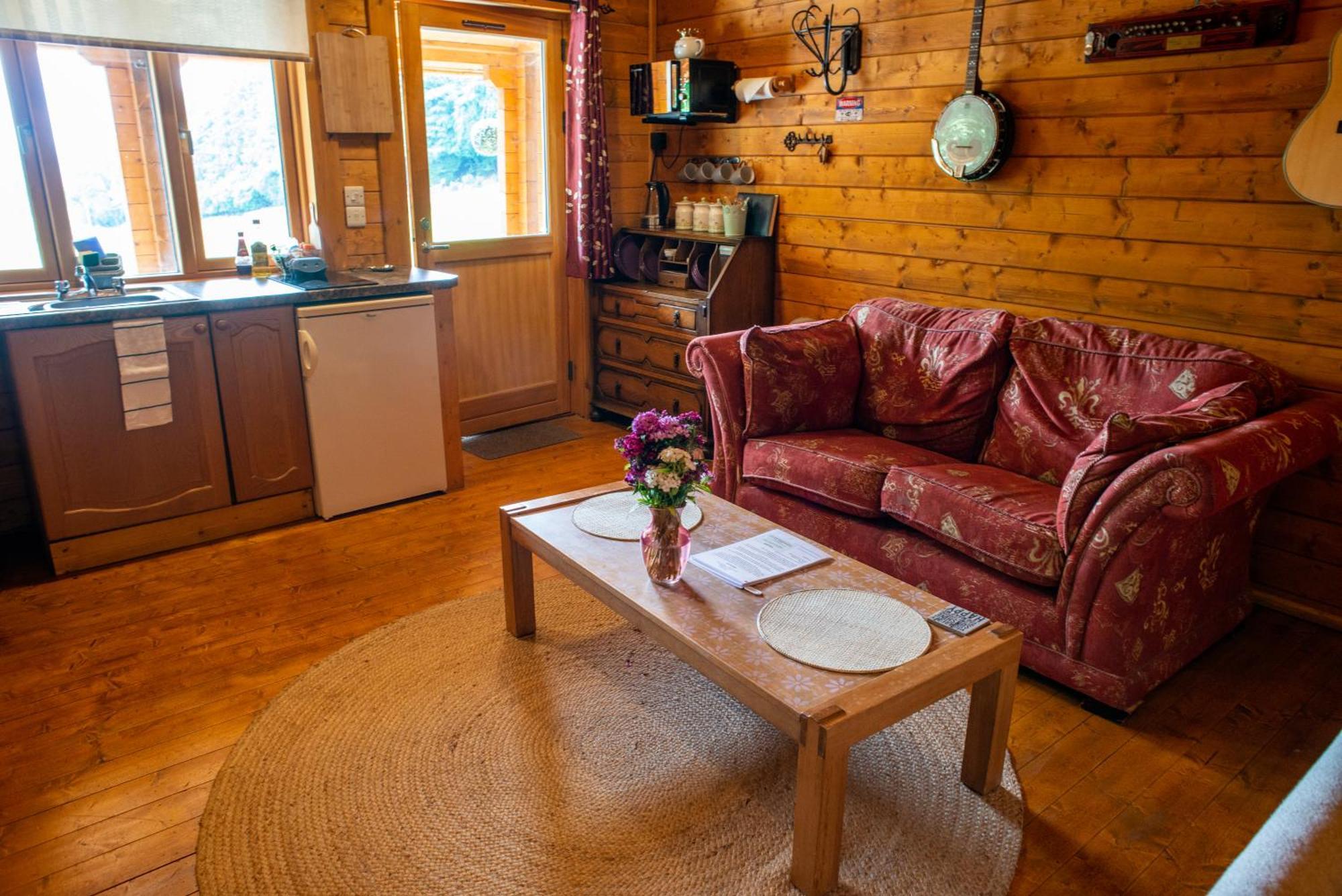 Blossom Cabin - Little Log Cabin In Wales Newtown  Kültér fotó