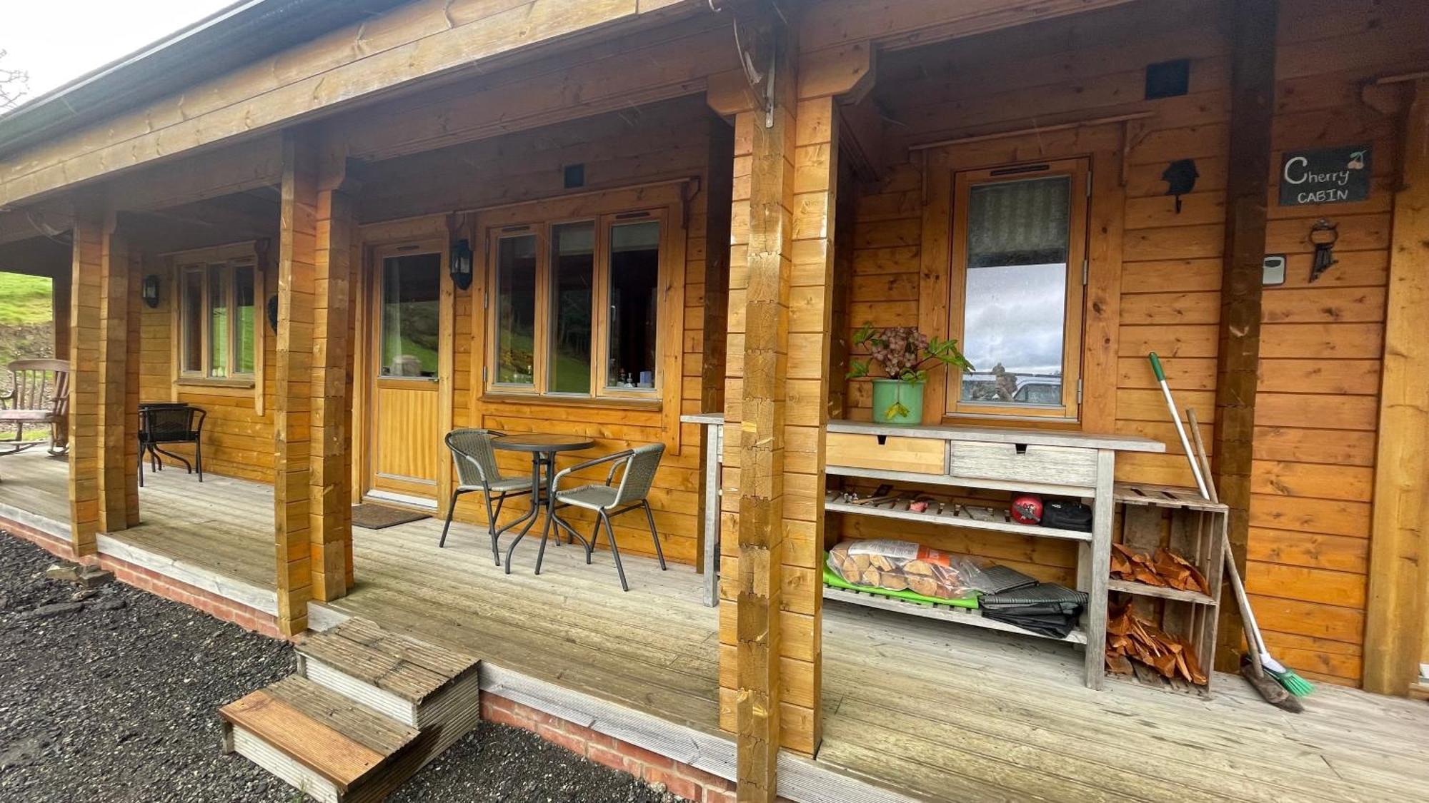 Blossom Cabin - Little Log Cabin In Wales Newtown  Kültér fotó