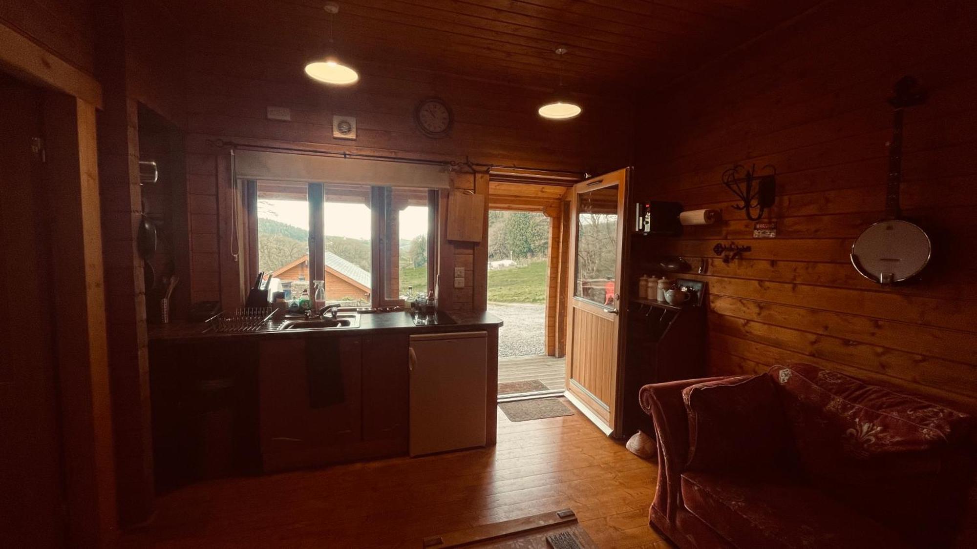 Blossom Cabin - Little Log Cabin In Wales Newtown  Kültér fotó