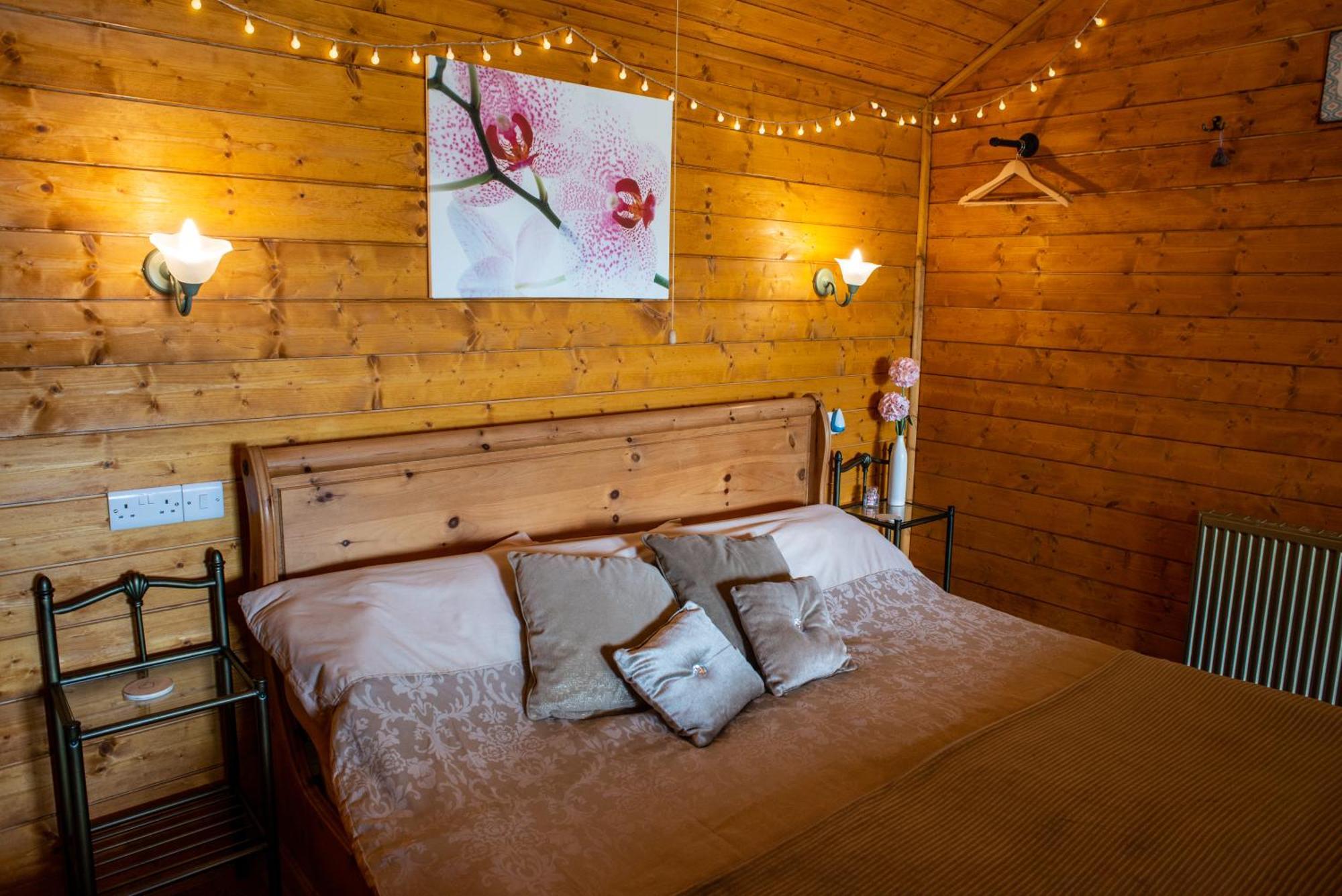 Blossom Cabin - Little Log Cabin In Wales Newtown  Kültér fotó